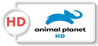 Animal Planet HD